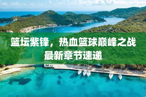 籃壇紫鋒，熱血籃球巔峰之戰(zhàn)最新章節(jié)速遞