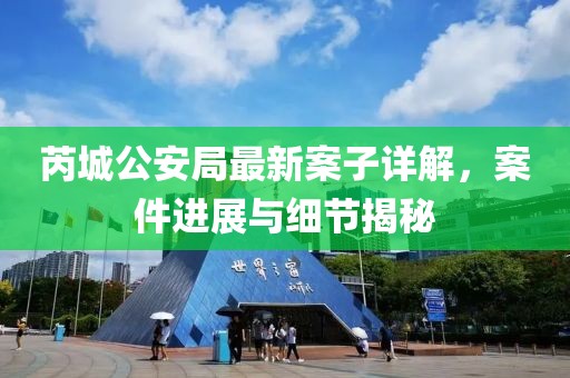 芮城公安局最新案子詳解，案件進(jìn)展與細(xì)節(jié)揭秘