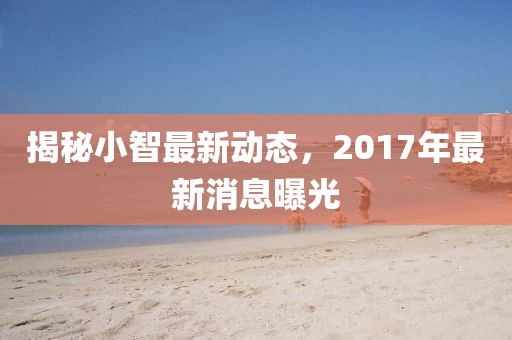 揭秘小智最新動態(tài)，2017年最新消息曝光