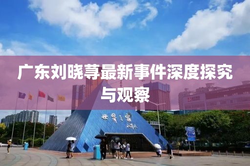 廣東劉曉蕁最新事件深度探究與觀察
