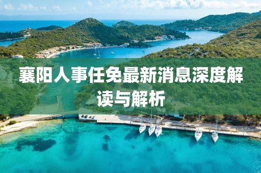 襄陽人事任免最新消息深度解讀與解析