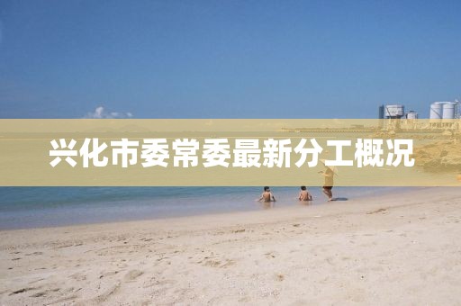 興化市委常委最新分工概況
