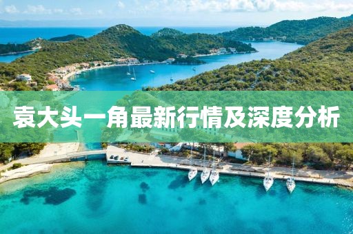 野望 第16頁