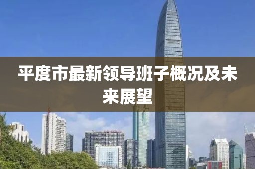 平度市最新領(lǐng)導(dǎo)班子概況及未來(lái)展望