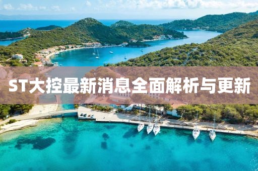 ST大控最新消息全面解析與更新