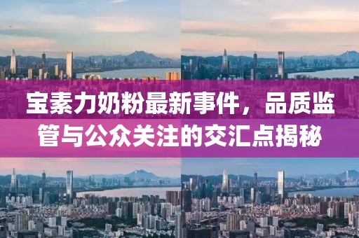 寶素力奶粉最新事件，品質(zhì)監(jiān)管與公眾關(guān)注的交匯點(diǎn)揭秘