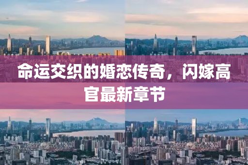 命運交織的婚戀傳奇，閃嫁高官最新章節(jié)