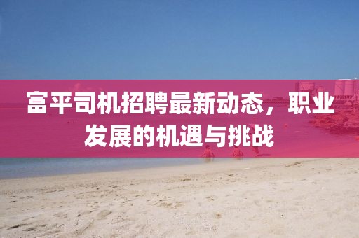富平司機(jī)招聘最新動(dòng)態(tài)，職業(yè)發(fā)展的機(jī)遇與挑戰(zhàn)