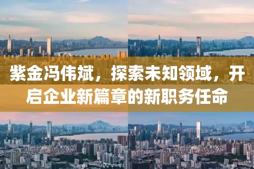 紫金馮偉斌，探索未知領(lǐng)域，開啟企業(yè)新篇章的新職務(wù)任命