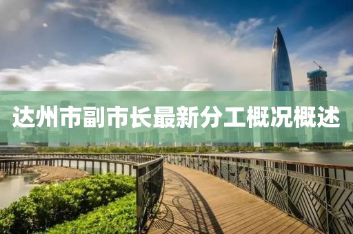 達州市副市長最新分工概況概述