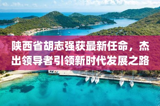 陜西省胡志強獲最新任命，杰出領(lǐng)導(dǎo)者引領(lǐng)新時代發(fā)展之路