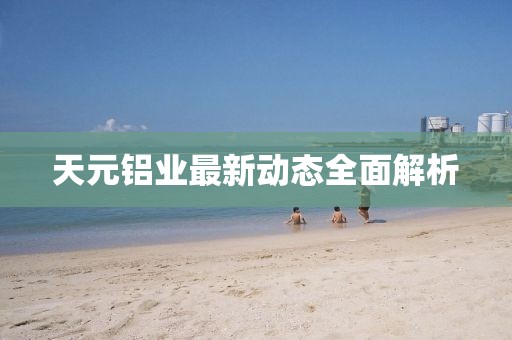 天元鋁業(yè)最新動態(tài)全面解析