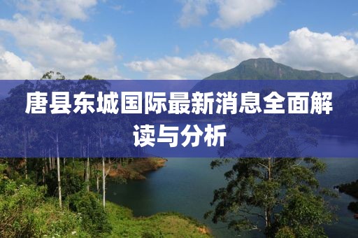 唐縣東城國際最新消息全面解讀與分析