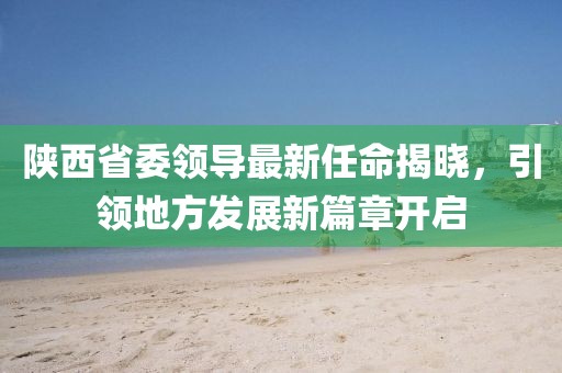 陜西省委領(lǐng)導(dǎo)最新任命揭曉，引領(lǐng)地方發(fā)展新篇章開啟