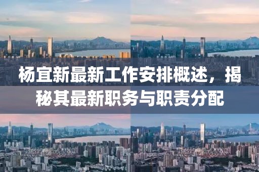 楊宜新最新工作安排概述，揭秘其最新職務(wù)與職責(zé)分配