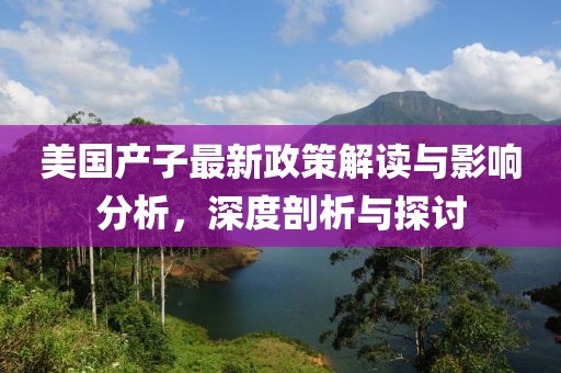 美國(guó)產(chǎn)子最新政策解讀與影響分析，深度剖析與探討