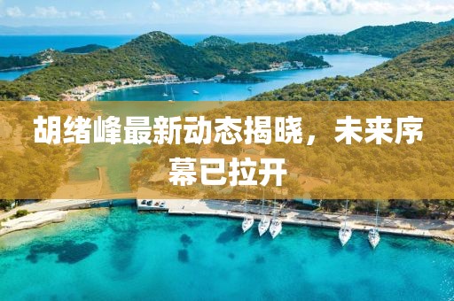 胡緒峰最新動(dòng)態(tài)揭曉，未來序幕已拉開