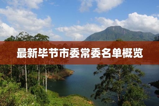 最新畢節(jié)市委常委名單概覽