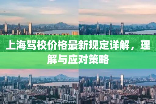 上海駕校價格最新規(guī)定詳解，理解與應(yīng)對策略