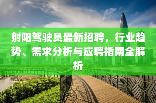 射陽(yáng)駕駛員最新招聘，行業(yè)趨勢(shì)、需求分析與應(yīng)聘指南全解析
