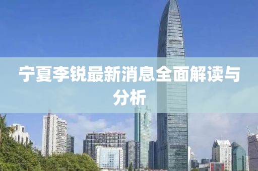 寧夏李銳最新消息全面解讀與分析