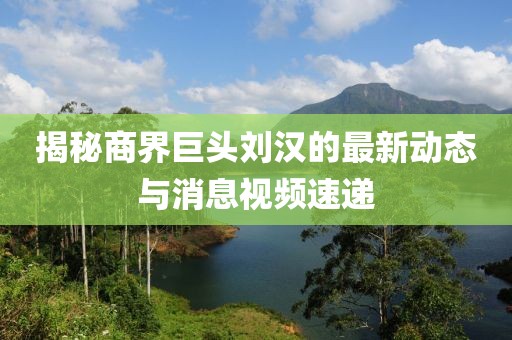 揭秘商界巨頭劉漢的最新動態(tài)與消息視頻速遞