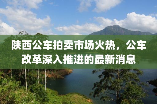 陜西公車拍賣市場(chǎng)火熱，公車改革深入推進(jìn)的最新消息