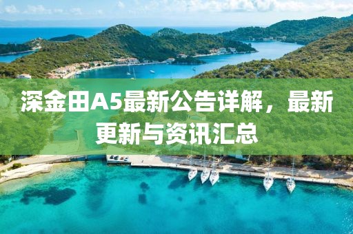 深金田A5最新公告詳解，最新更新與資訊匯總