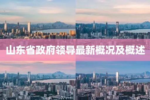 山東省政府領(lǐng)導(dǎo)最新概況及概述