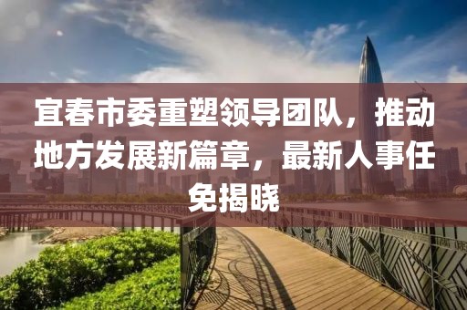 宜春市委重塑領(lǐng)導(dǎo)團(tuán)隊(duì)，推動(dòng)地方發(fā)展新篇章，最新人事任免揭曉