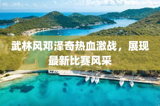 武林風(fēng)鄧澤奇熱血激戰(zhàn)，展現(xiàn)最新比賽風(fēng)采