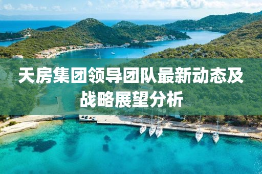 天房集團(tuán)領(lǐng)導(dǎo)團(tuán)隊最新動態(tài)及戰(zhàn)略展望分析