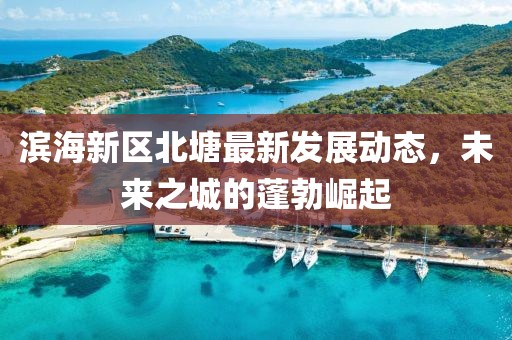 濱海新區(qū)北塘最新發(fā)展動態(tài)，未來之城的蓬勃崛起