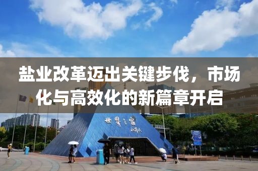 鹽業(yè)改革邁出關(guān)鍵步伐，市場化與高效化的新篇章開啟