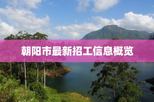 朝陽市最新招工信息概覽