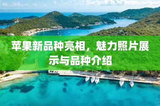 蘋果新品種亮相，魅力照片展示與品種介紹