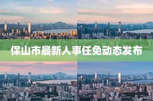 保山市最新人事任免動(dòng)態(tài)發(fā)布