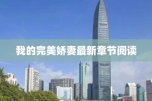 我的完美嬌妻最新章節(jié)閱讀