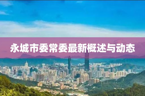 永城市委常委最新概述與動態(tài)