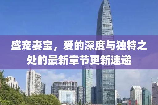 盛寵妻寶，愛的深度與獨(dú)特之處的最新章節(jié)更新速遞