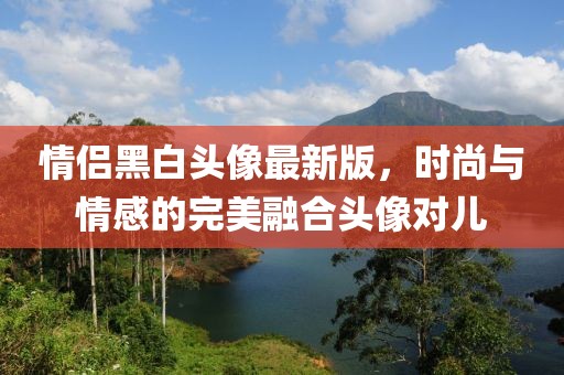 情侶黑白頭像最新版，時(shí)尚與情感的完美融合頭像對兒