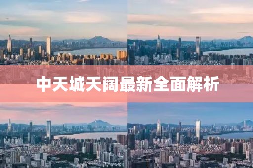 中天城天闊最新全面解析