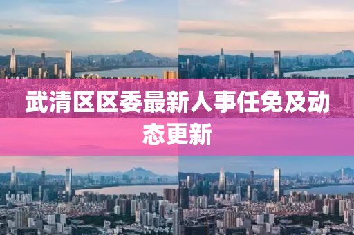 武清區(qū)區(qū)委最新人事任免及動(dòng)態(tài)更新