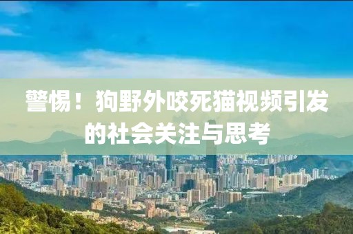 警惕！狗野外咬死貓視頻引發(fā)的社會(huì)關(guān)注與思考
