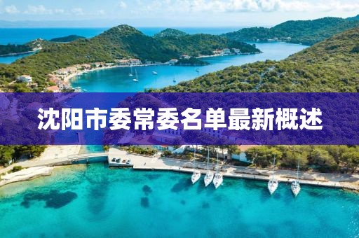 沈陽市委常委名單最新概述