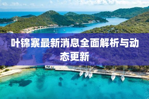 葉錦寨最新消息全面解析與動態(tài)更新