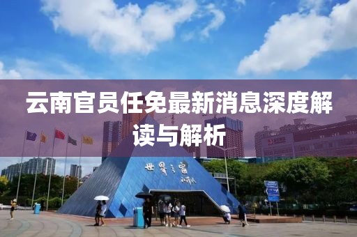 云南官員任免最新消息深度解讀與解析