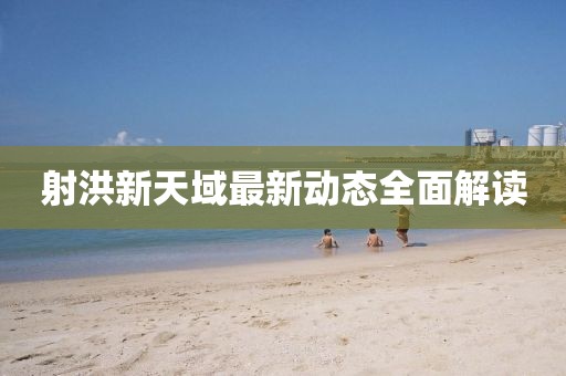 射洪新天域最新動態(tài)全面解讀
