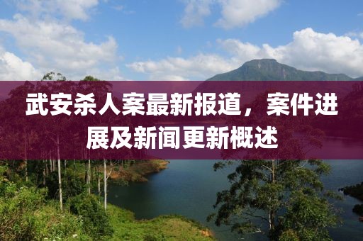 武安殺人案最新報道，案件進展及新聞更新概述