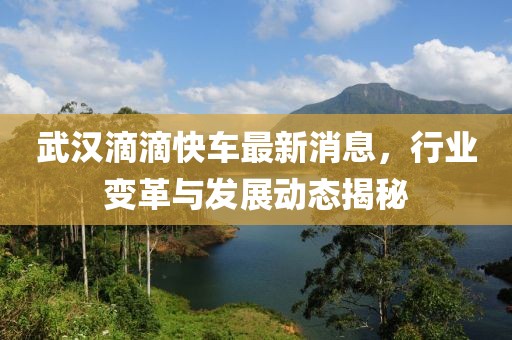 武漢滴滴快車最新消息，行業(yè)變革與發(fā)展動態(tài)揭秘